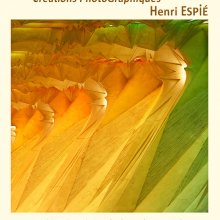 Expo_Cordes_2024_Web
