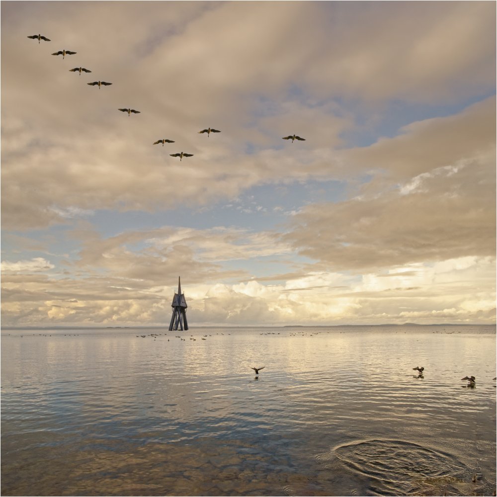 Submersions