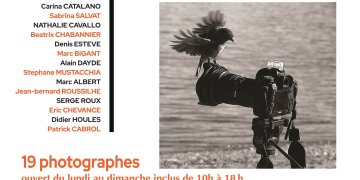 Sur les Cimaises